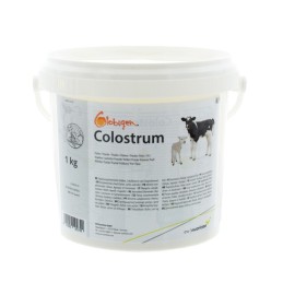 Colostrum IBR vrije biest...