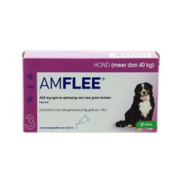 Amflee 402mg spot-on hond...