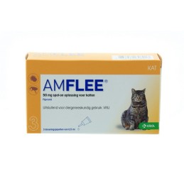 Amflee 50mg spot-on Kat