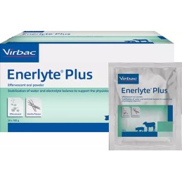 Enerlyte plus 24x100gr