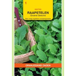 Raapstelen Groene Gewone