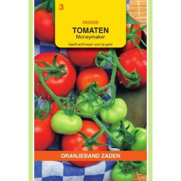 Tomaten Moneymaker