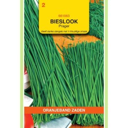 Bieslook Prager (fijne)