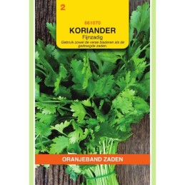 Koriander