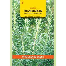 Rozemarijn