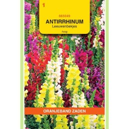 Antirrhinum Leeuwenbekje...