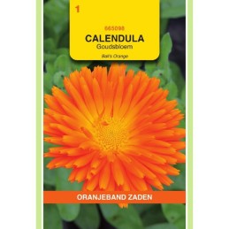 Calendula Goudsbloem Ball's...