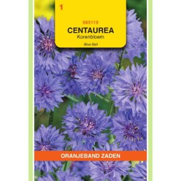 Centaurea Korenbloem Blue Ball