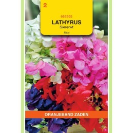 Lathyrus Reuk- of siererwt...