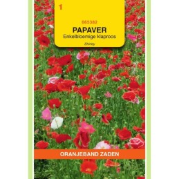 Papaver Klaproos...