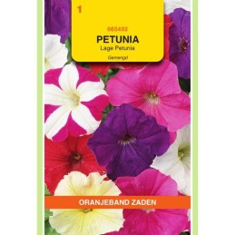 Petunia laag gemengd