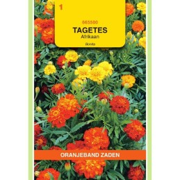 Tagetes Afrikaan Bonita...