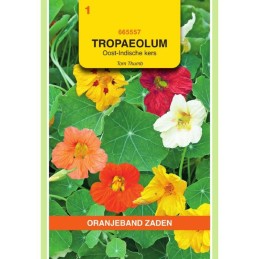 Tropaeolum Oost-Indische...