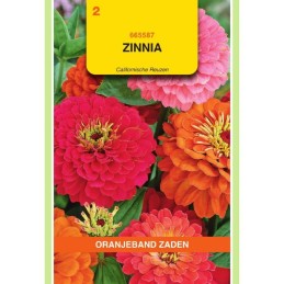 Zinnia Californische Reuzen...