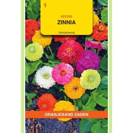 Zinnia Dahliabloemig gemengd