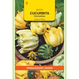 Cucurbita Sierkalebas...