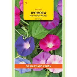 Ipomoea Klimmende Winde...