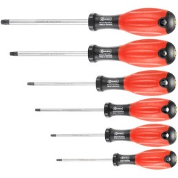 Schroevendraaierset Torx...