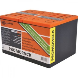 Duopack batterij Powerpack...