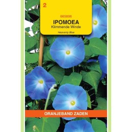 Ipomoea Klimmende Winde...