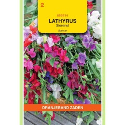 Lathyrus Reuk- of siererwt...