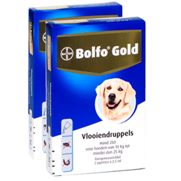 Bolfo Gold 250 hond 10 - 25...