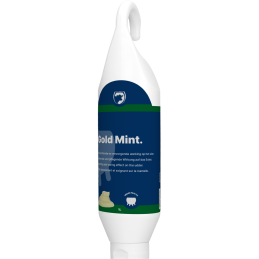 Gold Mint 1 liter