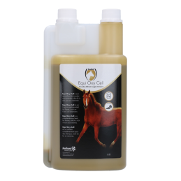 Excellent horse Oxy Cell