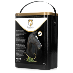 Excellent Horse Equi Turbo...