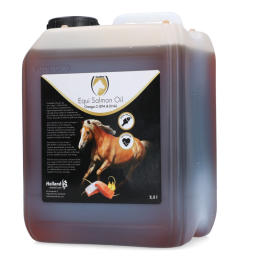 Excellent Horse Zalmolie...
