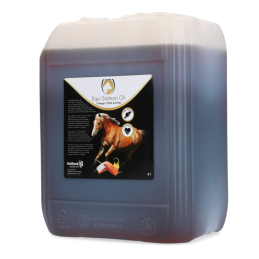 Excellent horse Zalmolie 5...