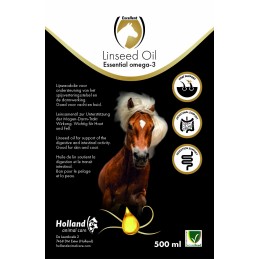 Excellent Horse...