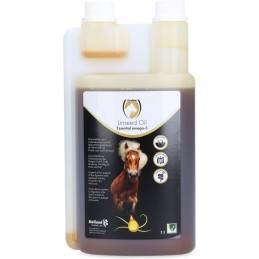 Excellent Horse...