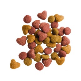 Lara Kattenbrokken Senior kalkoen-kip 2 kg