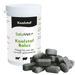 Koolstofbolus 24 x 12 gram