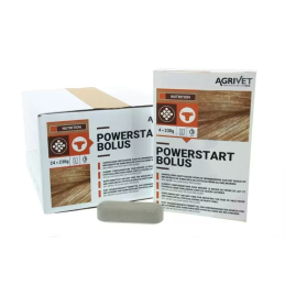 Powerstart Bolus 230 gram 4...