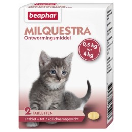 Milquestra kitten/kleine...