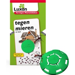 Luxan Vermigon...