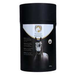 Excellent Horse Prominent...