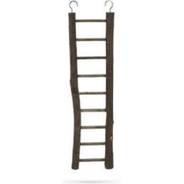 Beeztees Zi vogelladder...