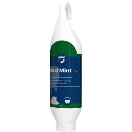 Maxi Mint Plus uiermint 1...