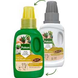 Bio Cactus & Vetplanten...