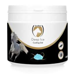 Excellent Horse Deep Ice...