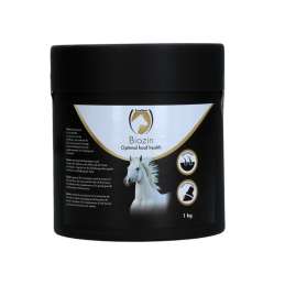 Biozin 1kg