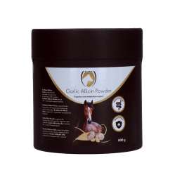 Excellent Horse Garlic...