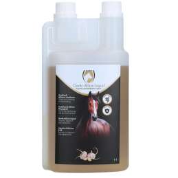Excellent Horse Garlic...