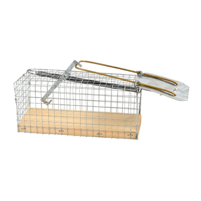 Vangkooi muis houten bodem Vangkooi muis houten bodem