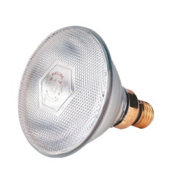 Philips Warmtelamp 100 watt wit