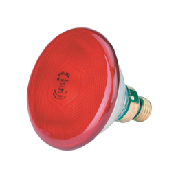 Philips Warmtelamp 100 watt rood