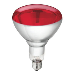 Philips warmtelamp 150 watt rood